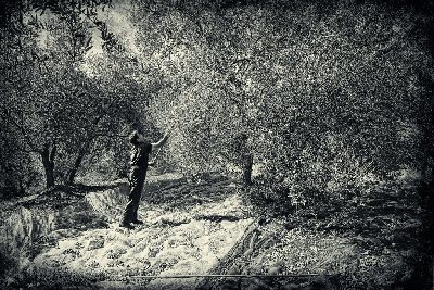 Jose Antonio Grueso Perogil gana el premio de fotografia de la ETSIAM