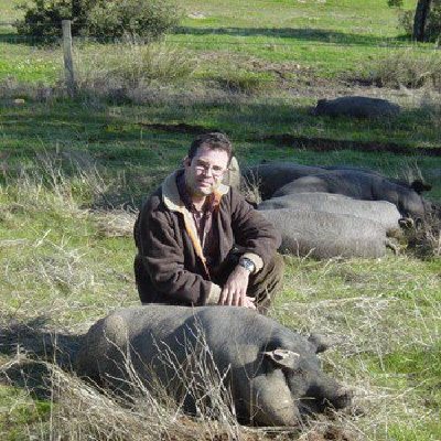 El profesor de la UCO, Vicente Rodrguez, premio Nuez de Prado de Investigacin  2007,analiza la produccin extensiva del cerdo ibrico y la utilizacin de la ganadera ecolgica en las dehesas.
