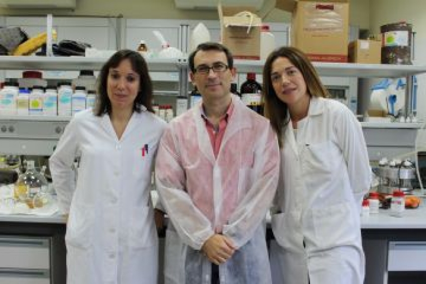 La Fundación Ramón Areces financia un proyecto del Instituto de Química Fina y Nanoquímica de la UCO