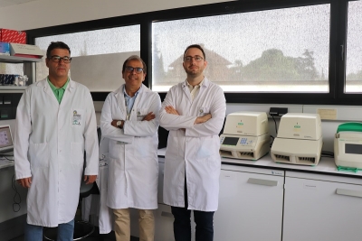 Los investigadores de la UCO y del IMIBIC Juan Roa, Manuel Tena-Sempere y Miguel Ruiz-Cruz